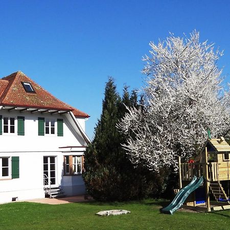 Schwarzwaldhaus24 - Ferienhaus Mit Sauna, Whirlpool Und Kamin Gemeinde Gemeinde Aichhalden Extérieur photo